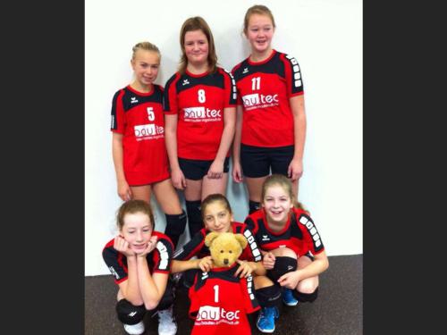 soz eitensheim volleyball 